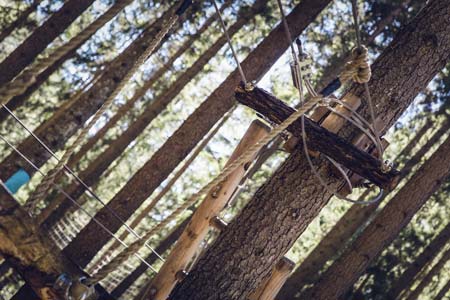 Kletterpark auf Rügen